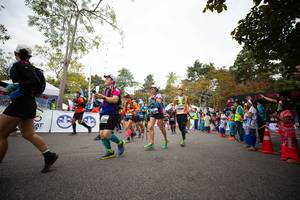 BIB: 
                            <button type="button" onclick="openModal(13715329)" class="btn btn-primary btn-sm float-right btn-popup" data-toggle="modal" data-target=".modal-high-quality">
                        <i class="fas fa-shopping-cart"></i> Add to Cart
                    </button>
                                            <button type="button" onclick="isThisMe(13715329, true)" class="btn btn-success btn-sm float-right btn-popup btn-isme hidden" data-toggle="tooltip" data-placement="bottom" title="นี่คือรูปของคุณใช่ไหม คลิกที่นี่เพื่อเอาเข้าอัลบั้ม">
                        <i class="fas fa-plus"></i> Add to album
                    </button>
                    <button type="button" onclick="isThisMe(13715329, false)" class="btn btn-warning btn-sm float-right btn-popup btn-isnotme hidden">
                        <i class="fas fa-ban"></i> Remove from album
                    </button>